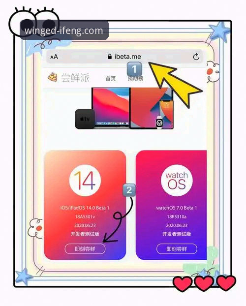 凤凰体育iOS版安装与使用教程：从下载到直播一步到位